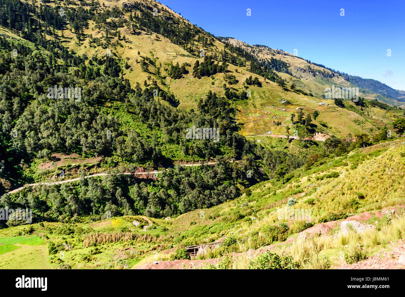 Road winds through forested hills in highlands of Huehuetenango, Guatemala, Central America Stock Photo
