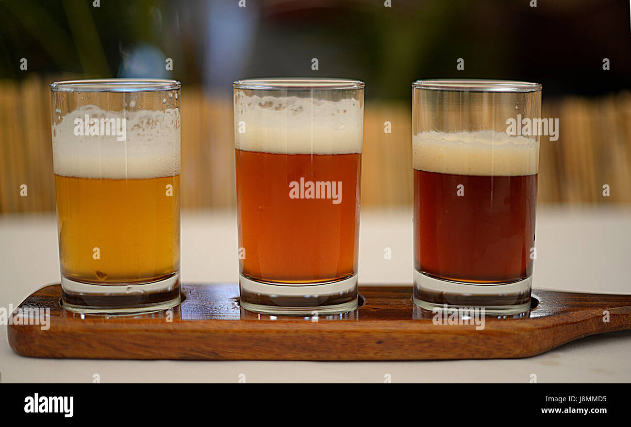 Three colors of beer sit in a flight during Costa Rica's Craft Beer Festival. Stock Photo