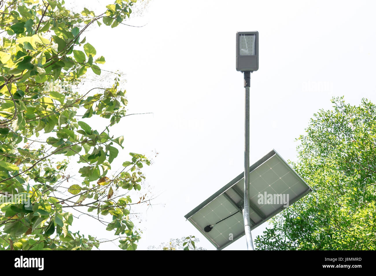 Solar led street light hi-res stock photography and images - Alamy