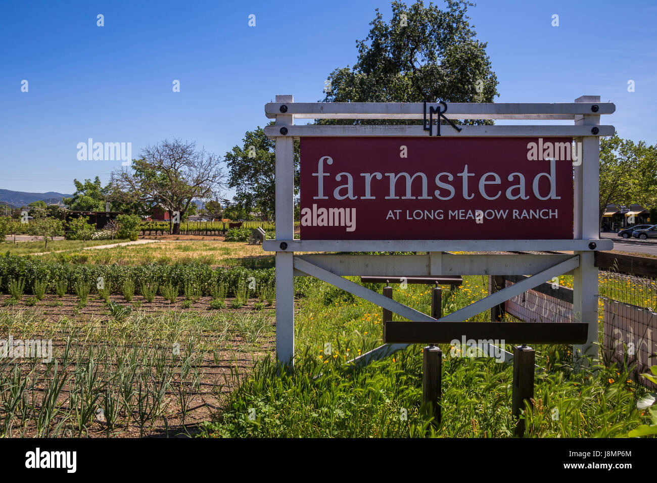culinary garden, culinary gardens, Long Meadow Ranch Winery and Farmstead, Saint Helena, Napa Valley, California, United States Stock Photo