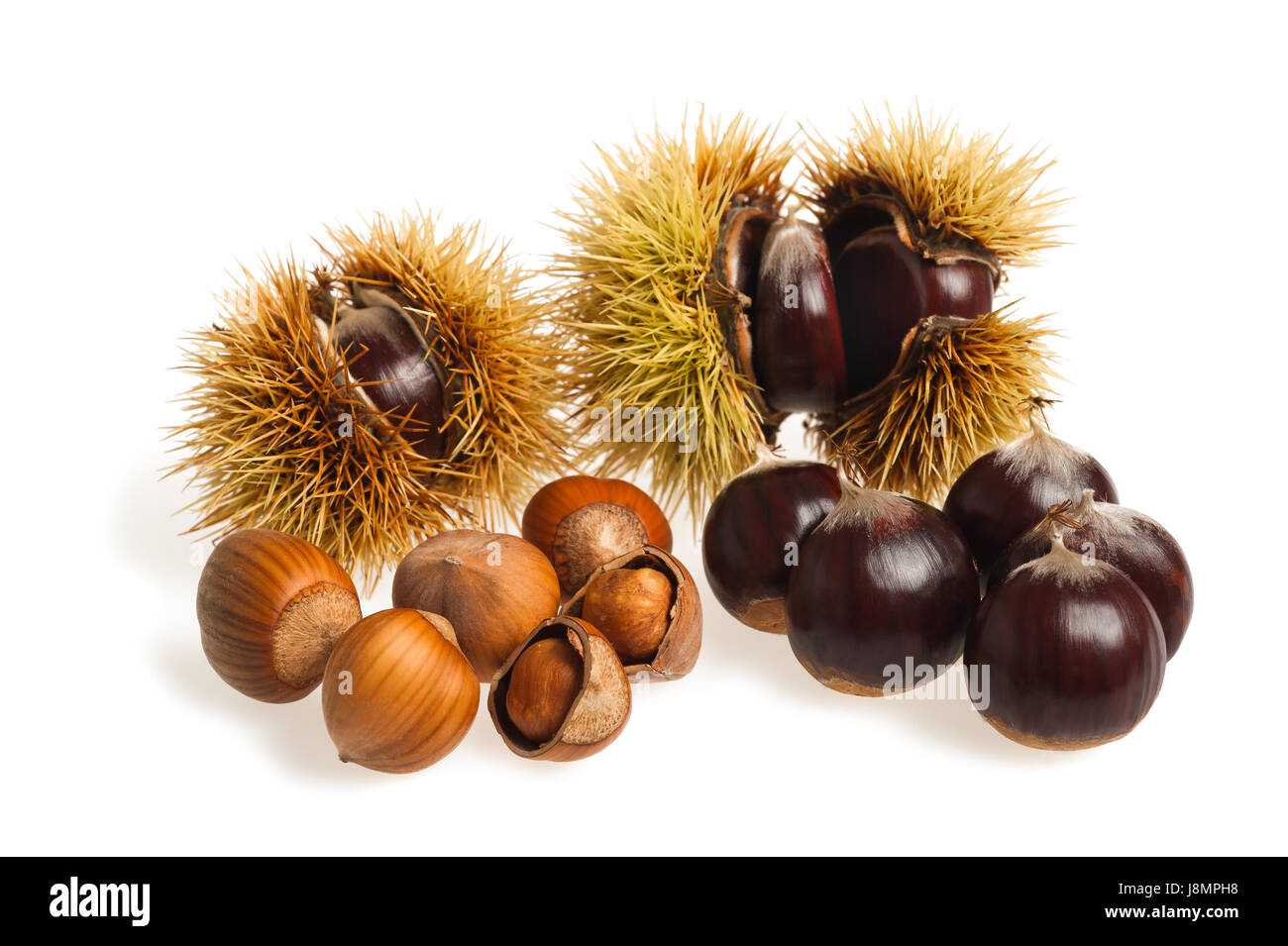 Chestnuts and hazelnuts Isolated on white Stock Photo Alamy