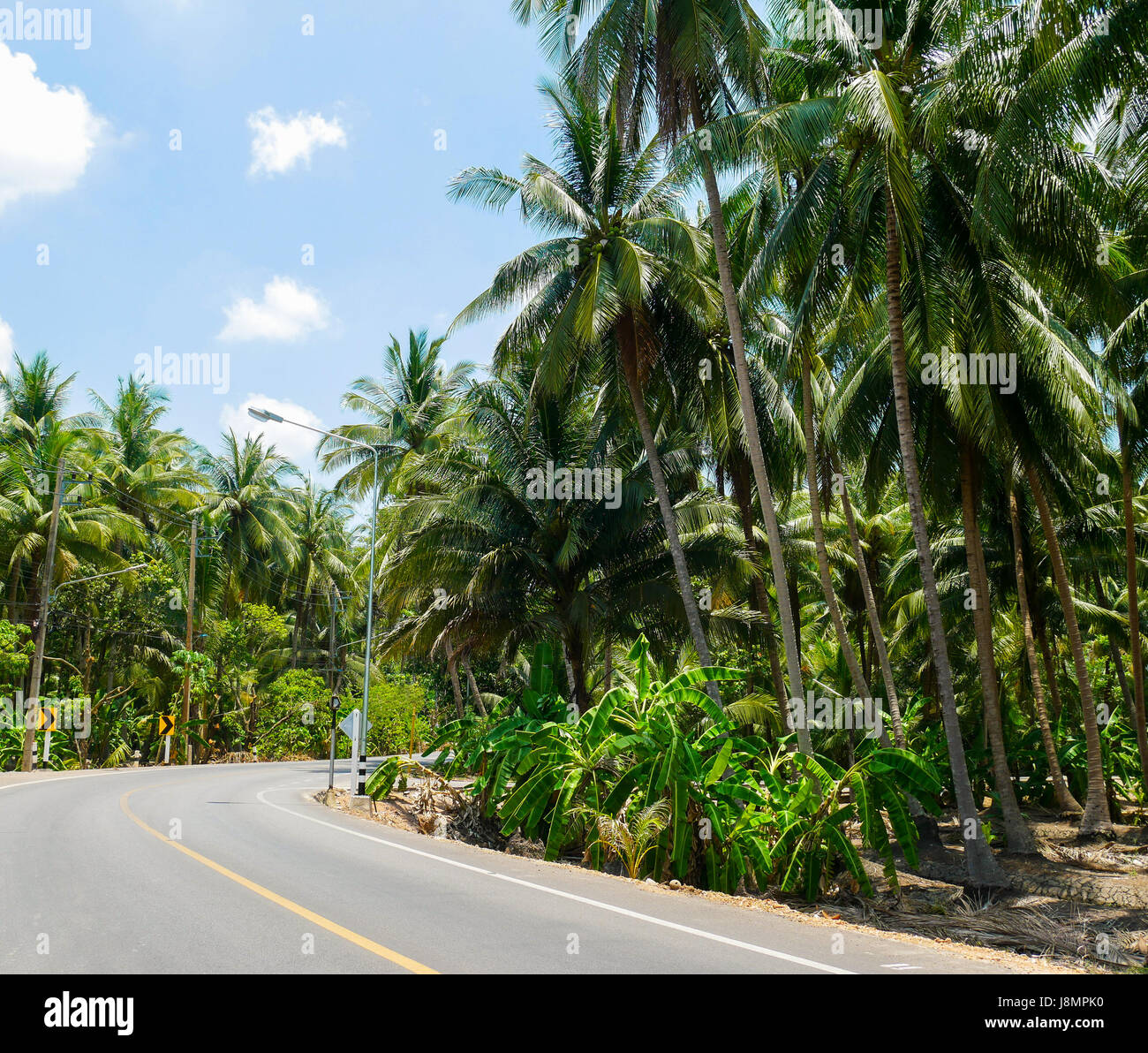 Way jungle hi-res stock photography and images - Alamy