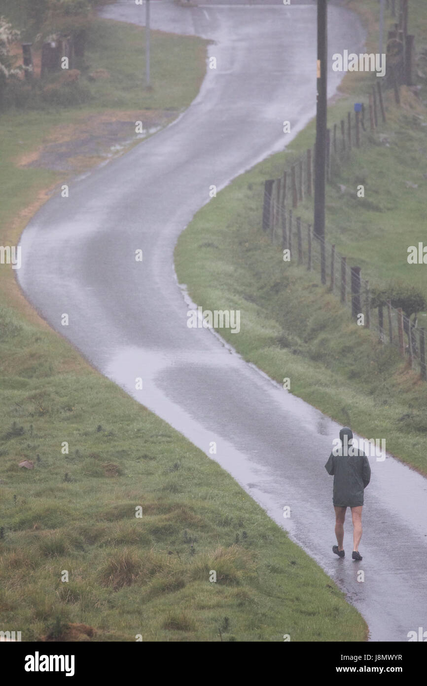 A person walking along a meandering lane braving the foggy rainy