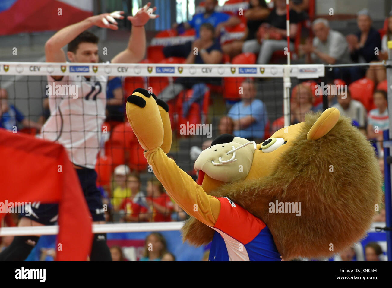 Mascot of Czech team Lion during the volleyball World Cup Qualification match Czech Republic vs Cyprus in Karlovy Vary, Czech Republic, May 27, 2017. (CTK Photo/Slavomir Kubes) Stock Photo