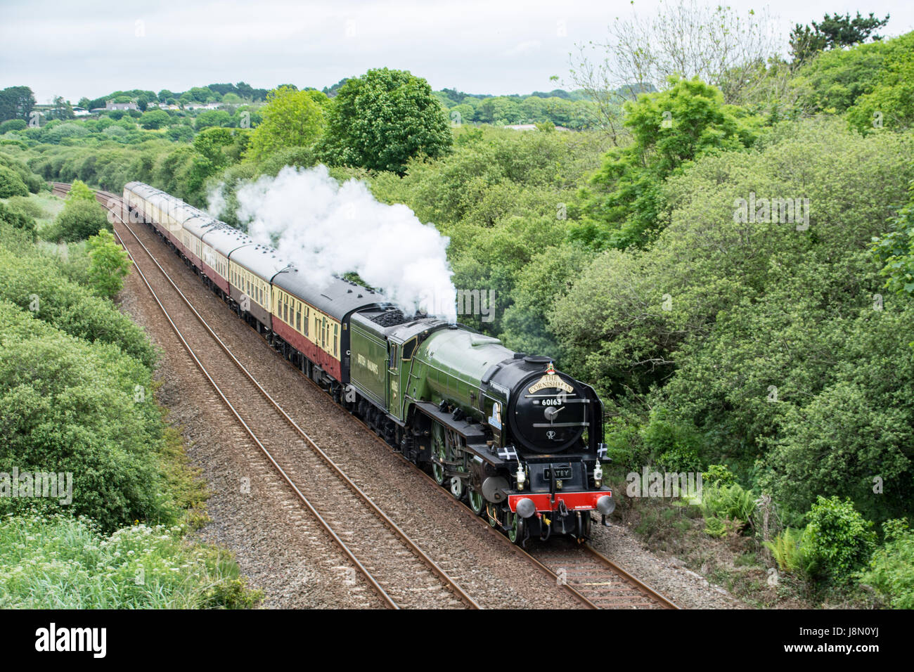 Marazion, Cornwall, UK. 29th May 2017. The Tornado steam train seen here coming through Marazion on it's last few miles before completing it's bank holiday Monday journey from Paddington station to Penzance railway station in Cornwall. Credit: Simon Maycock/Alamy Live News Stock Photo