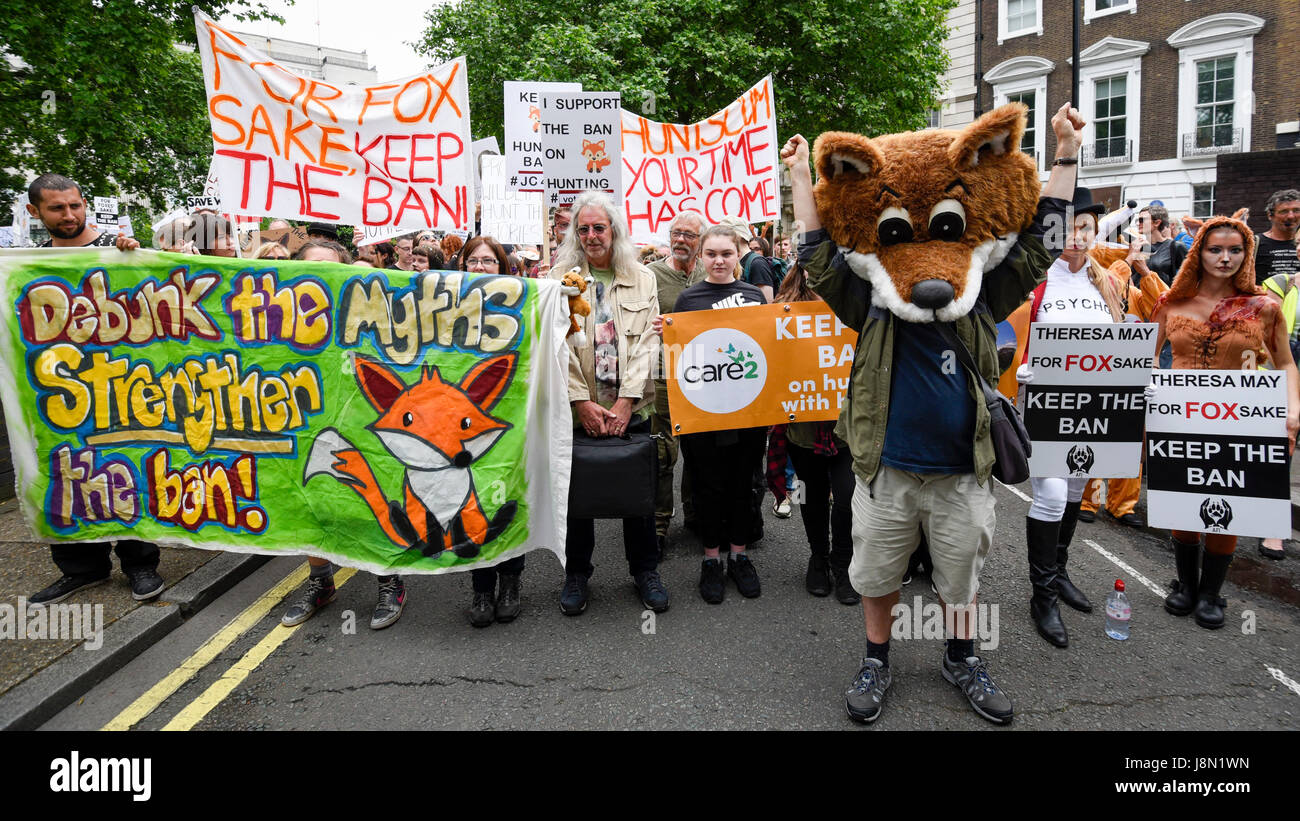 London, UK. 29th May, 2017. Demonstrators stage an "Anti-Hunting March" in central London, marching from Cavendish Square to outside Downing Street. Protesters are demanding that the ban on fox hunting remains, contrary to reported comments by Theresa May, Prime Minister, that the 2004 Hunting Act could be repealed after the General Election. Credit: Stephen Chung/Alamy Live News Stock Photo