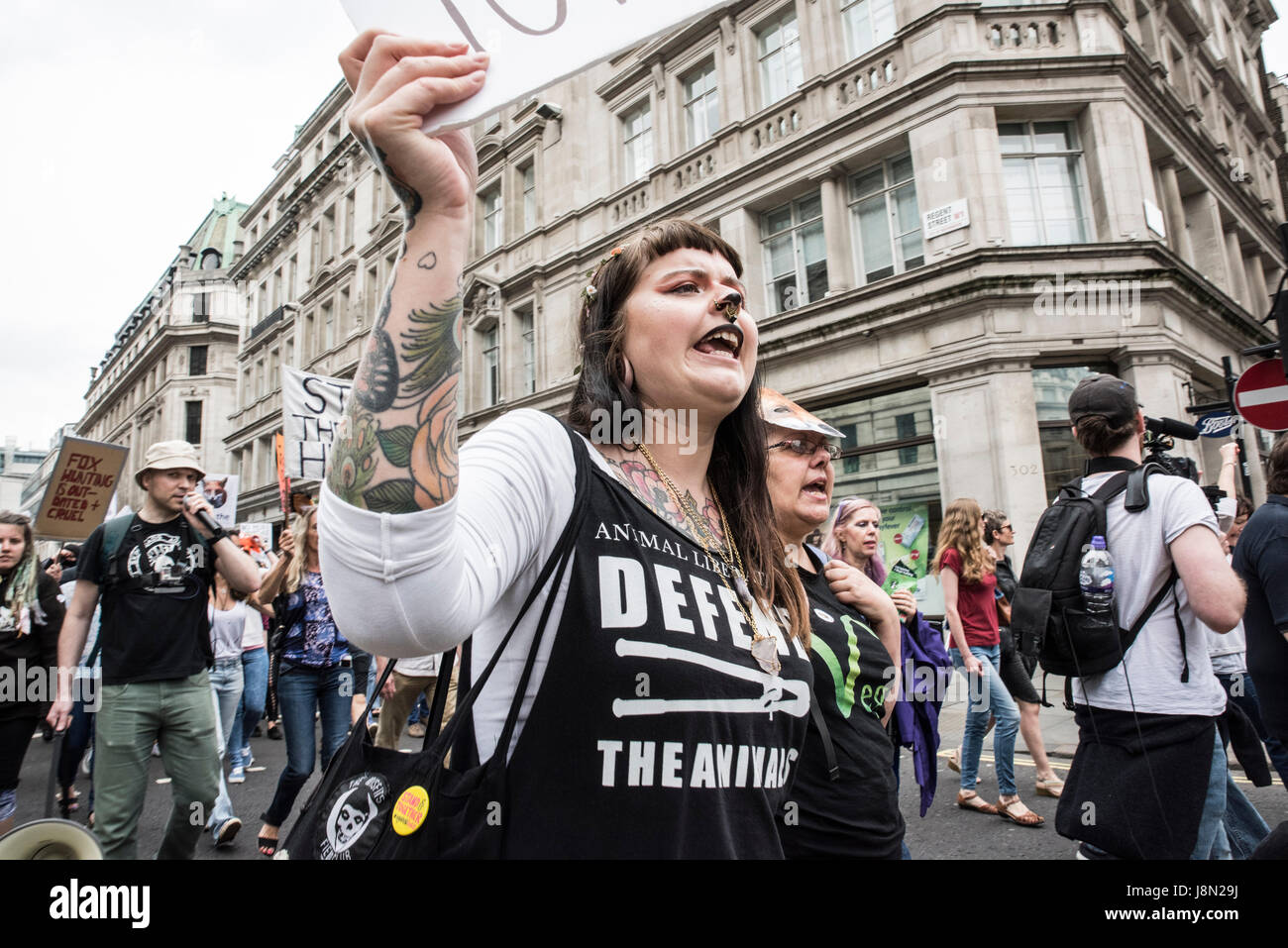 Anti-Fox-Hunting March, 29th May 2017, London - a girl is marching down the road and screams. Credit: Anja Riedmann/Alamy Live News Stock Photo