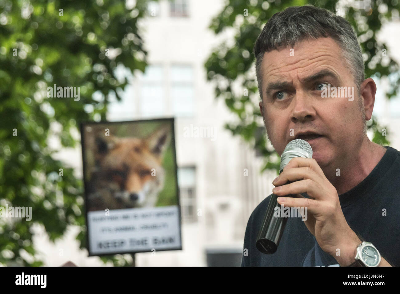 May 29, 2017 - London, UK - London, UK. 29th May 2017. Badger Trust Chief Executive Dominic Dyer speaks to several thousand people at the rally in Cavendish Square before they march to another at Downing St to tell Theresa May that the public are against having a vote in Parliament on the fox hunting bill. Polls show that over 80% of the public in city and rural areas are against lifting the ban and many would support stronger measures and proper enforcement of the 2004 ban. Among those who spoke and marched was Prof Andrew King of the Animal Welfare Party who is standing against Theresa May i Stock Photo
