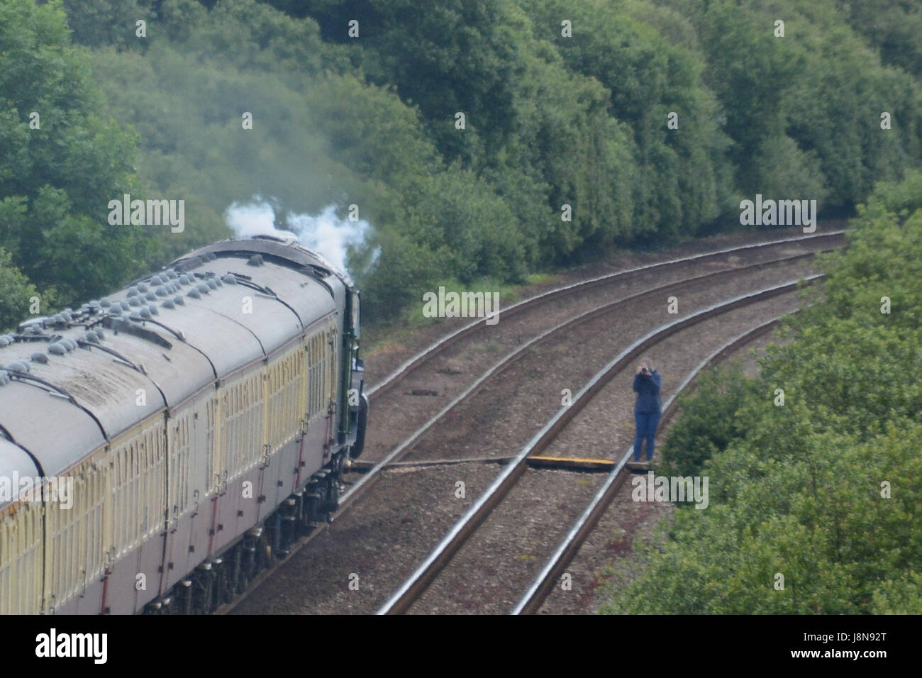 Marazion, Cornwall, UK. 29th May 2017. A trainspotter standing on the main London to Penzance track to get a photograph of the Tornado train steaming into Penzance yesterday. Credit: cwallpix/Alamy Live News Stock Photo