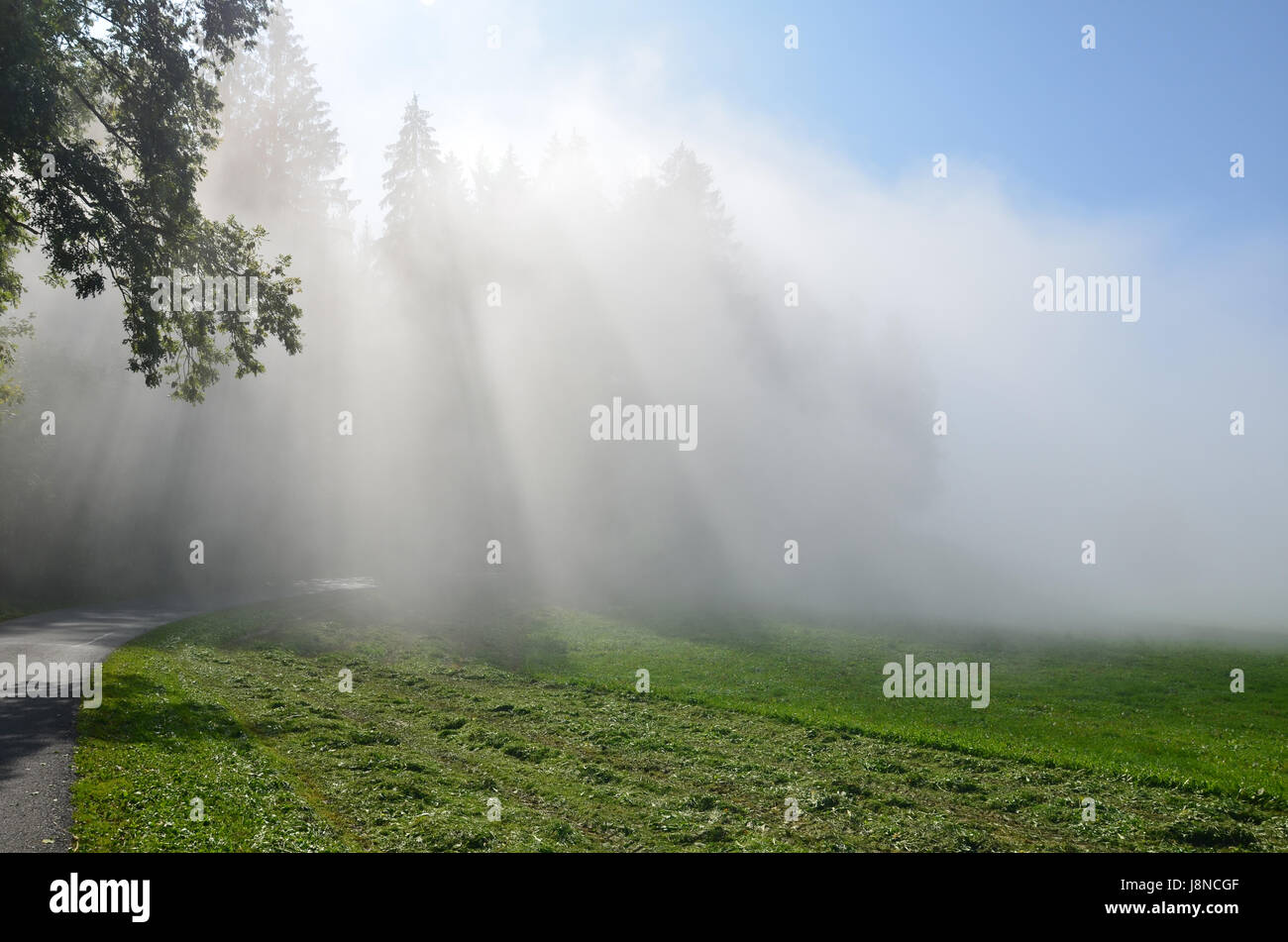 fog, sunbeams, fall, autumn, relaxation, tourism, fog, sunbeams, sight, view, Stock Photo