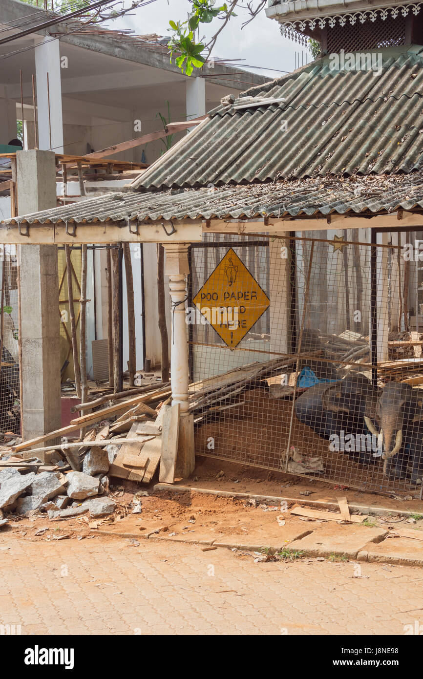 Remnants of a shop in the streets of Pinnawala Stock Photo