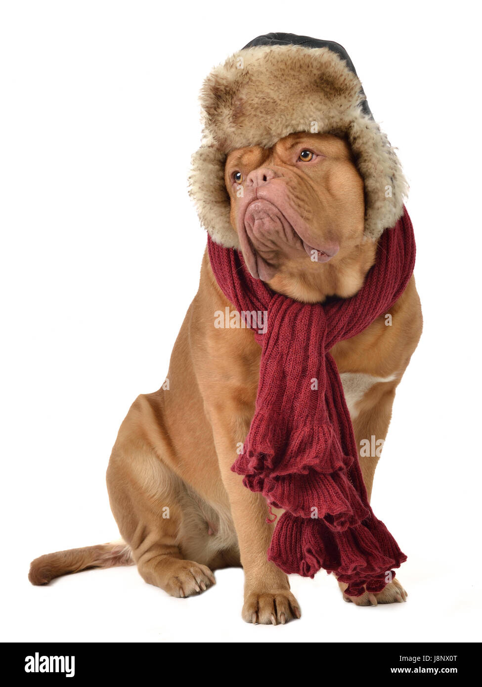 Wearing clothes too big Cut Out Stock Images & Pictures - Alamy