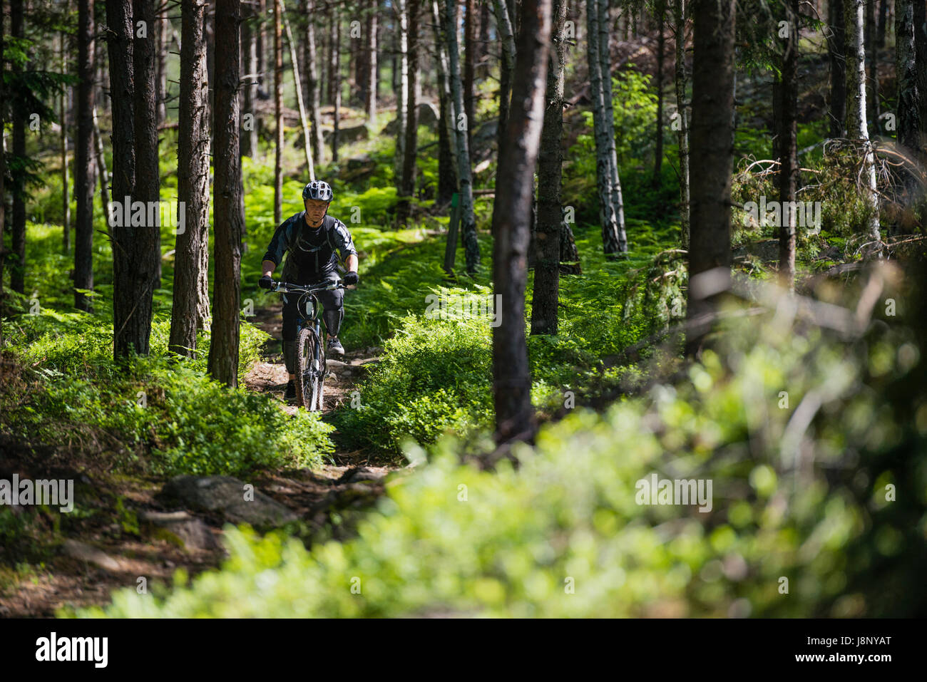 Man riding bicycle in forest Stock Photo