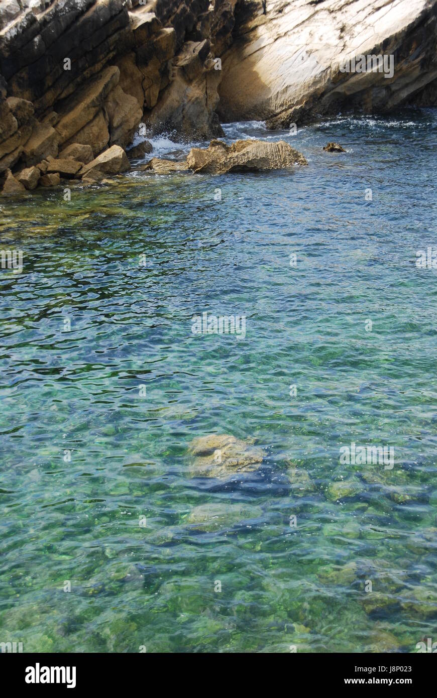 lagoon, rocks, salt water, sea, ocean, water, lawn, green, beautiful ...