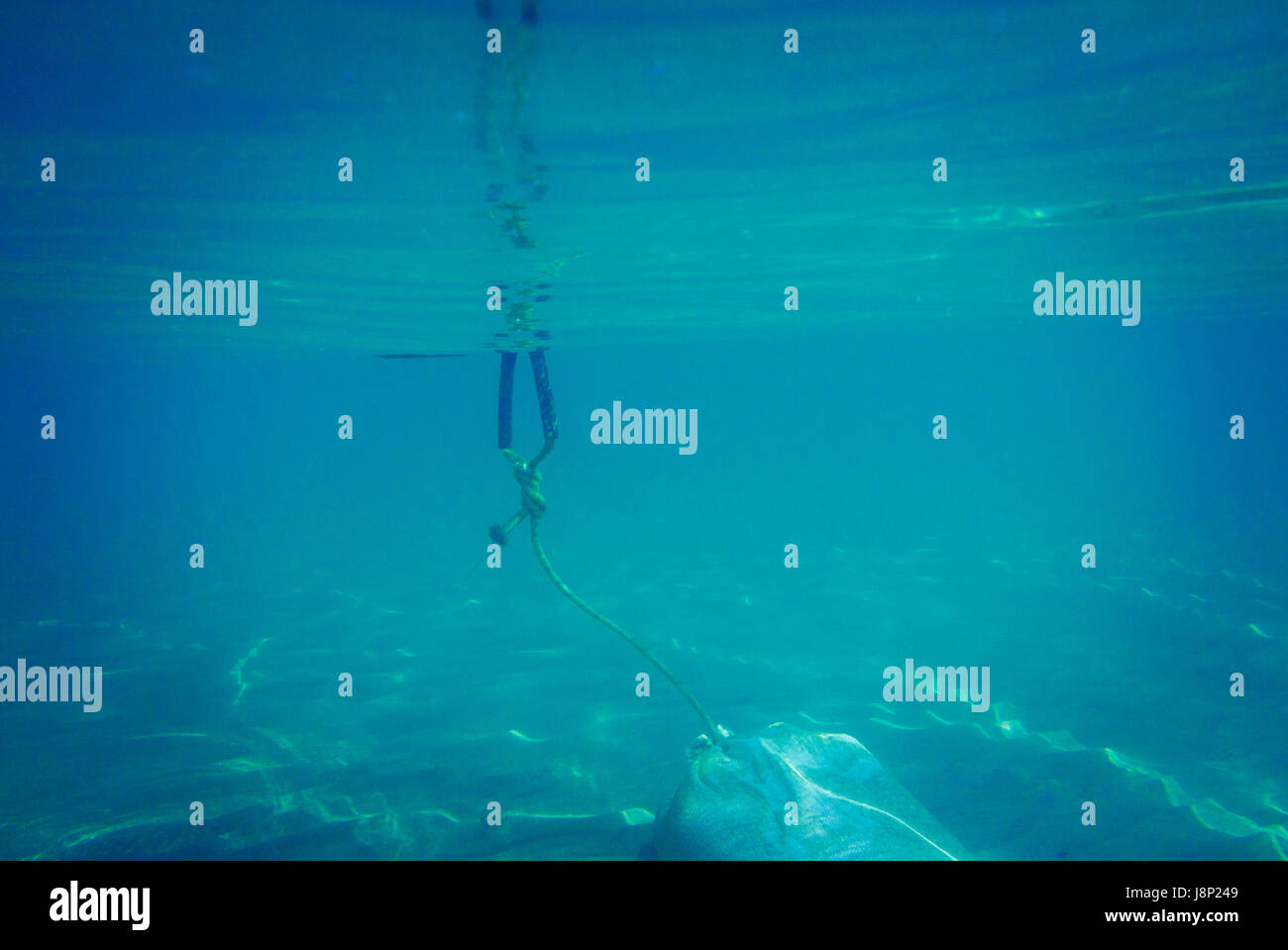Underwater Rope High Resolution Stock Photography and Images - Alamy
