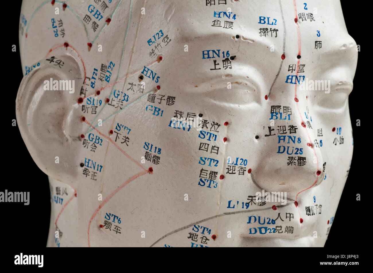 acupuncture head model Stock Photo Alamy