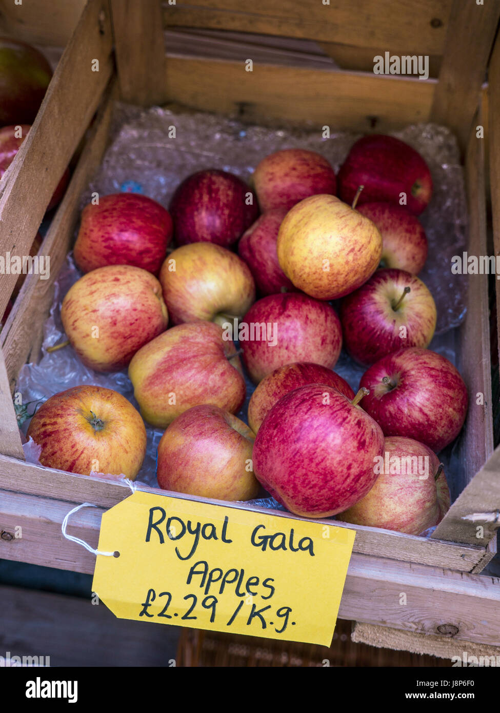 Royal Gala Apples in local produce Dorset crate on display for sale at