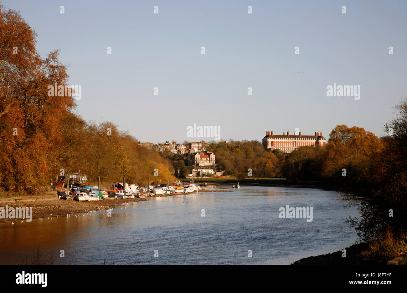 winter, europe, london, england, country, landscape, scenery, countryside, Stock Photo