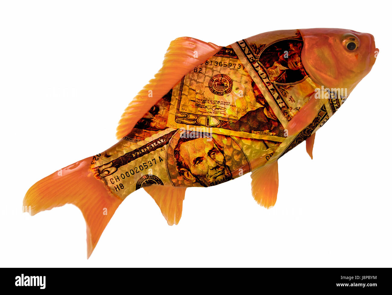 Fish on sale for money