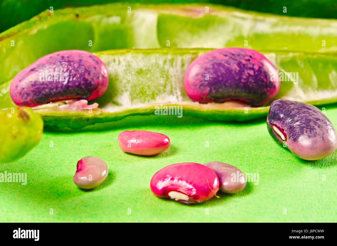 food, aliment, garden, beans, diet, bean, backdrop, background, nature ...