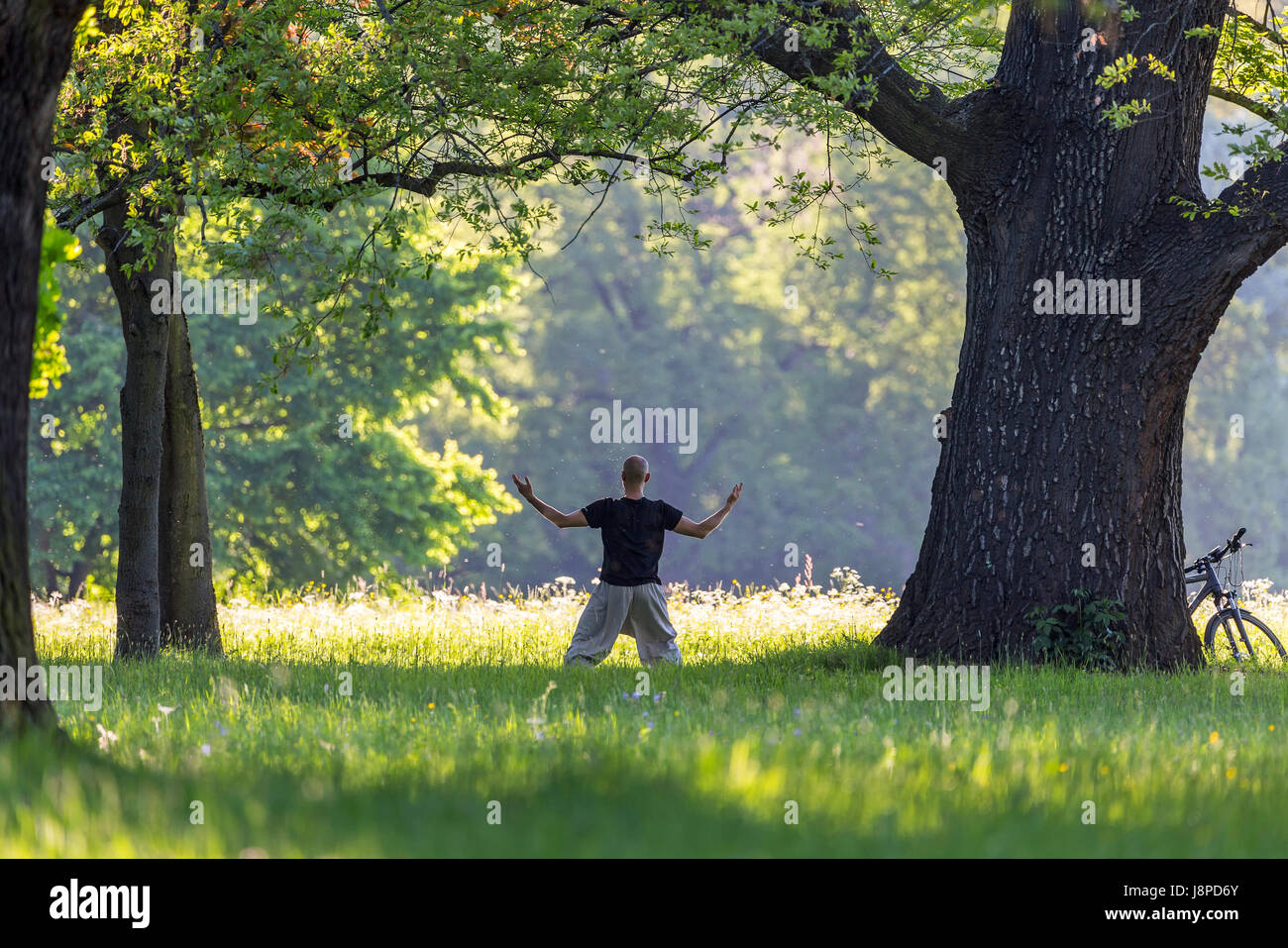 DEU; Deutschland, Stuttgart, 17.04.2017:  Yoga in the Rosensteinpark of Stuttgart.   [  © (c) Arnulf Hettrich / Fnoxx - Veroeffentlichung nur gegen Ho Stock Photo