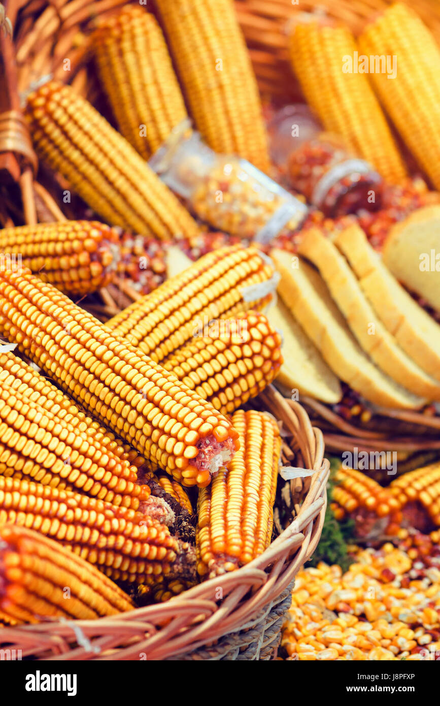 Corn cobs in basket, harvest of maize crops, selective focus Stock Photo