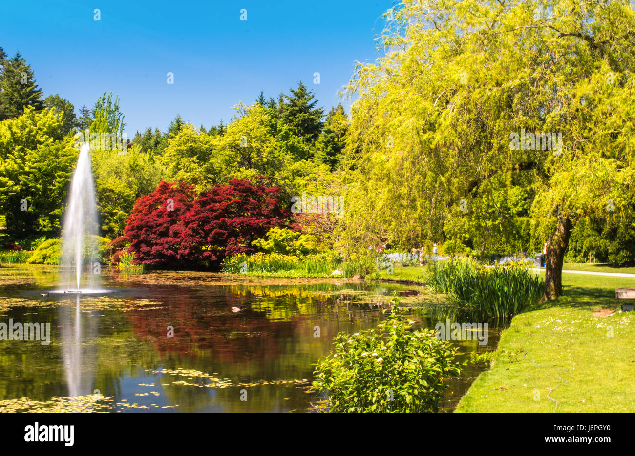 Fountain in a colorful garden Stock Photo - Alamy