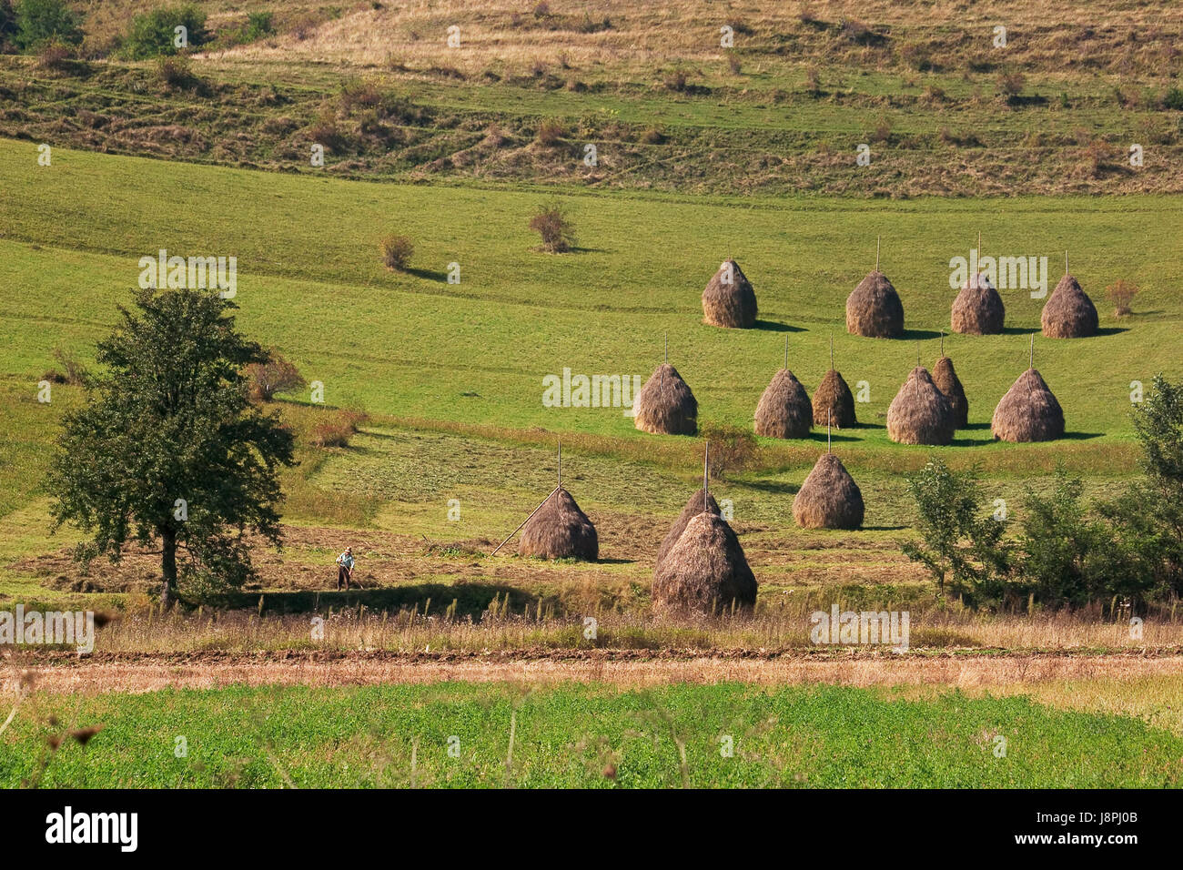 romanian farmers in haymaking Stock Photo