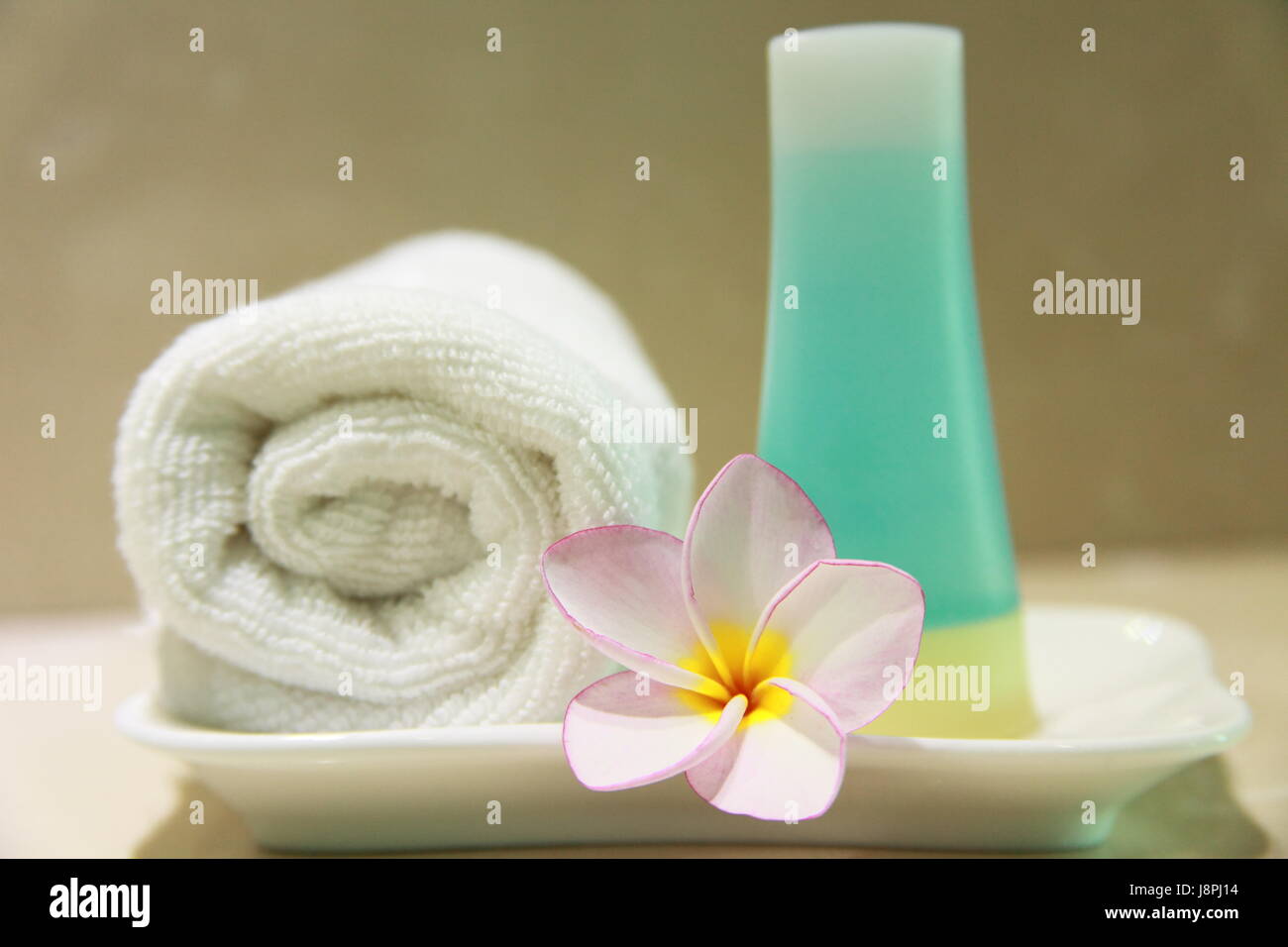 flower, plant, bloom, blossom, flourish, flourishing, hotel, towel, spa, Stock Photo