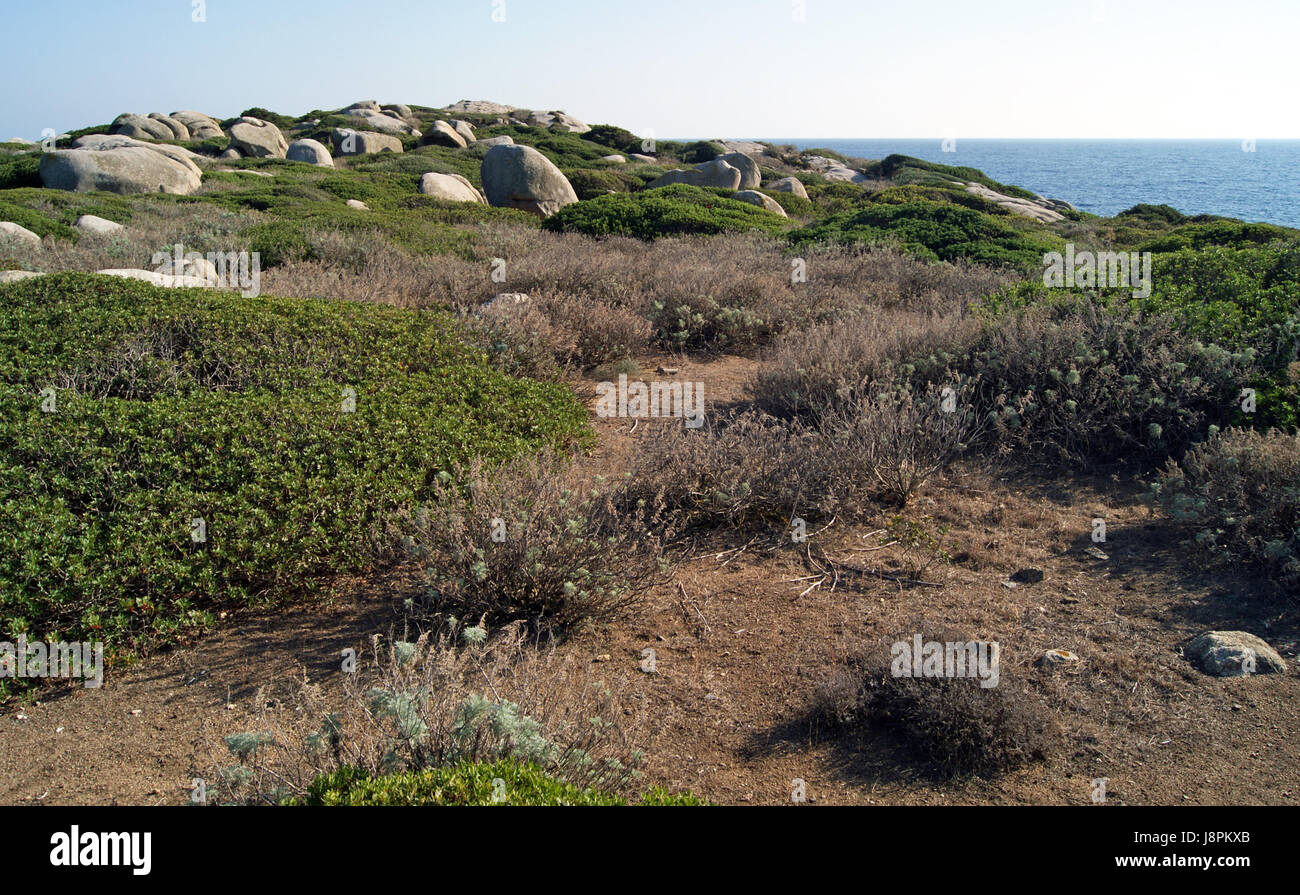 water, mediterranean, salt water, sea, ocean, rock, shrub, vegetation, Stock Photo