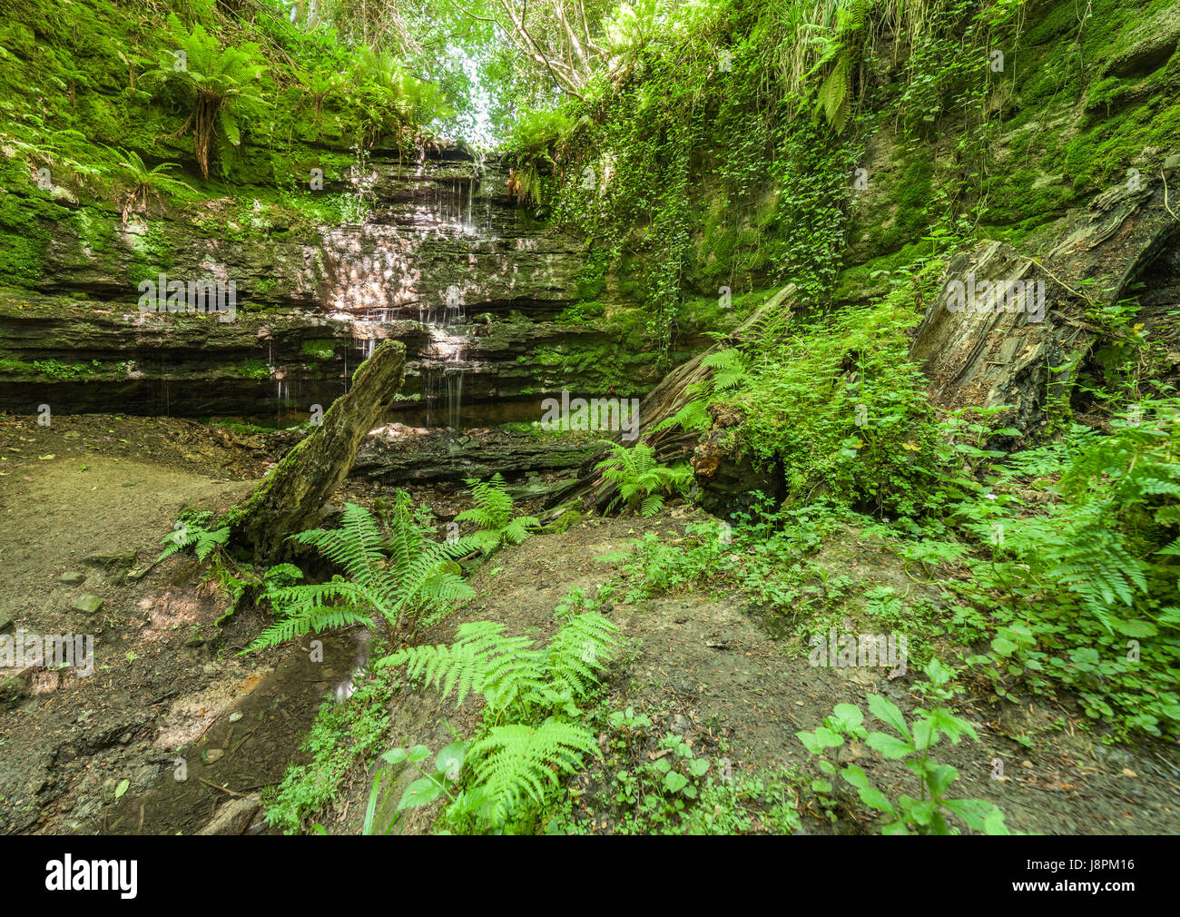 Old Roar Gill, Hastings. Stock Photo