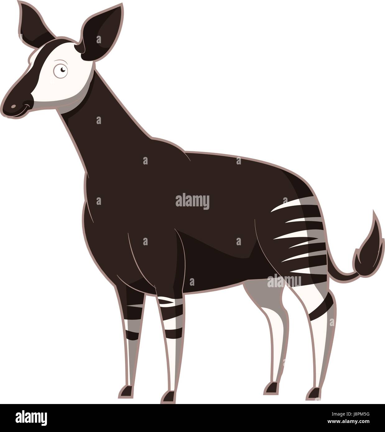 Cartoon smiling Okapi Stock Vector