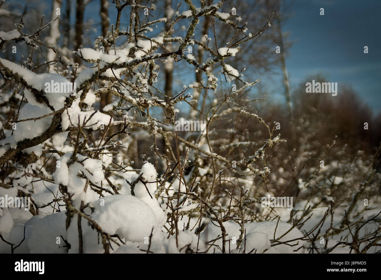 holiday, vacation, holidays, vacations, sweden, radio silence, quietness, Stock Photo