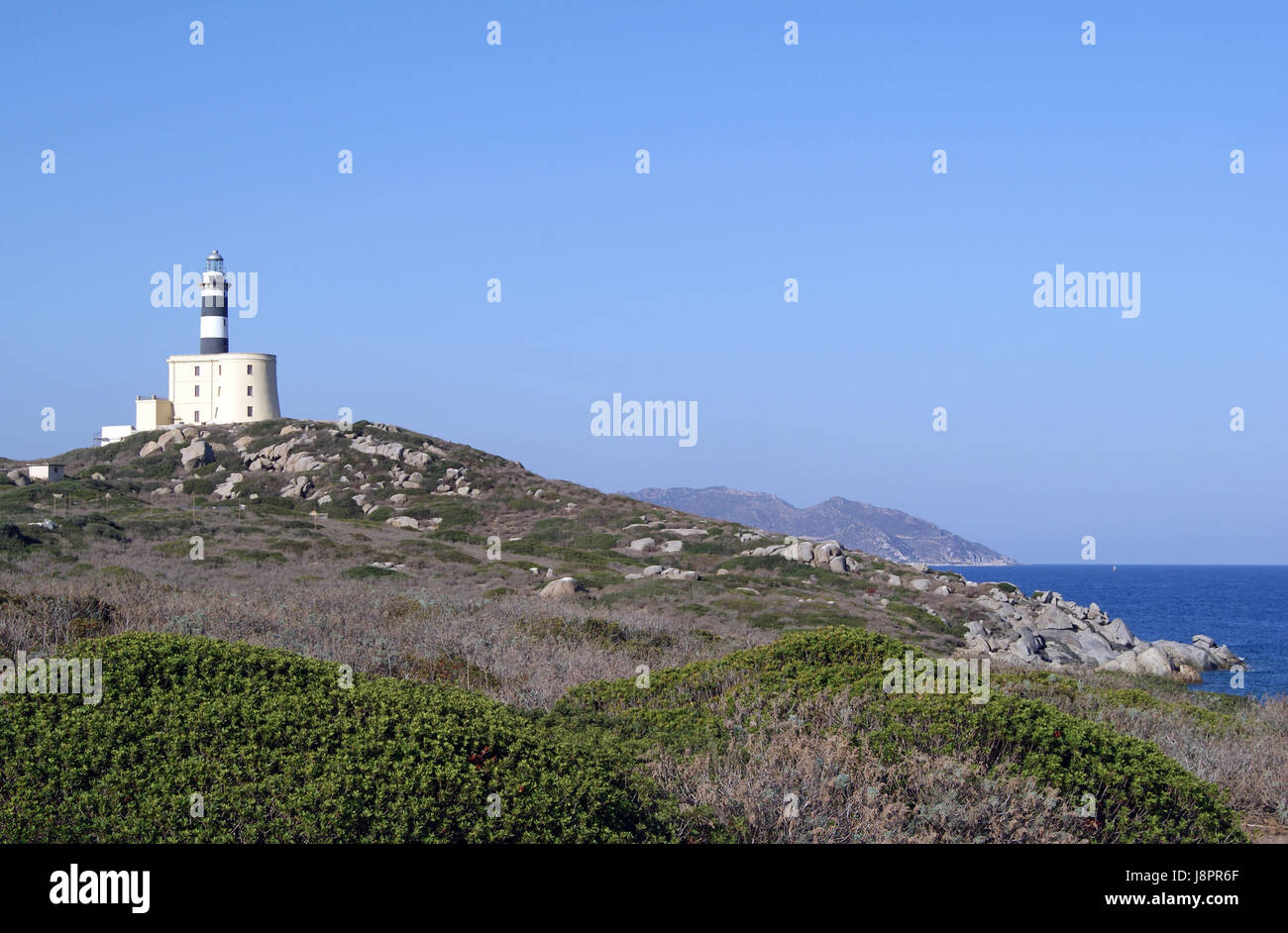 water, mediterranean, salt water, sea, ocean, rock, vegetation, sardinia, Stock Photo