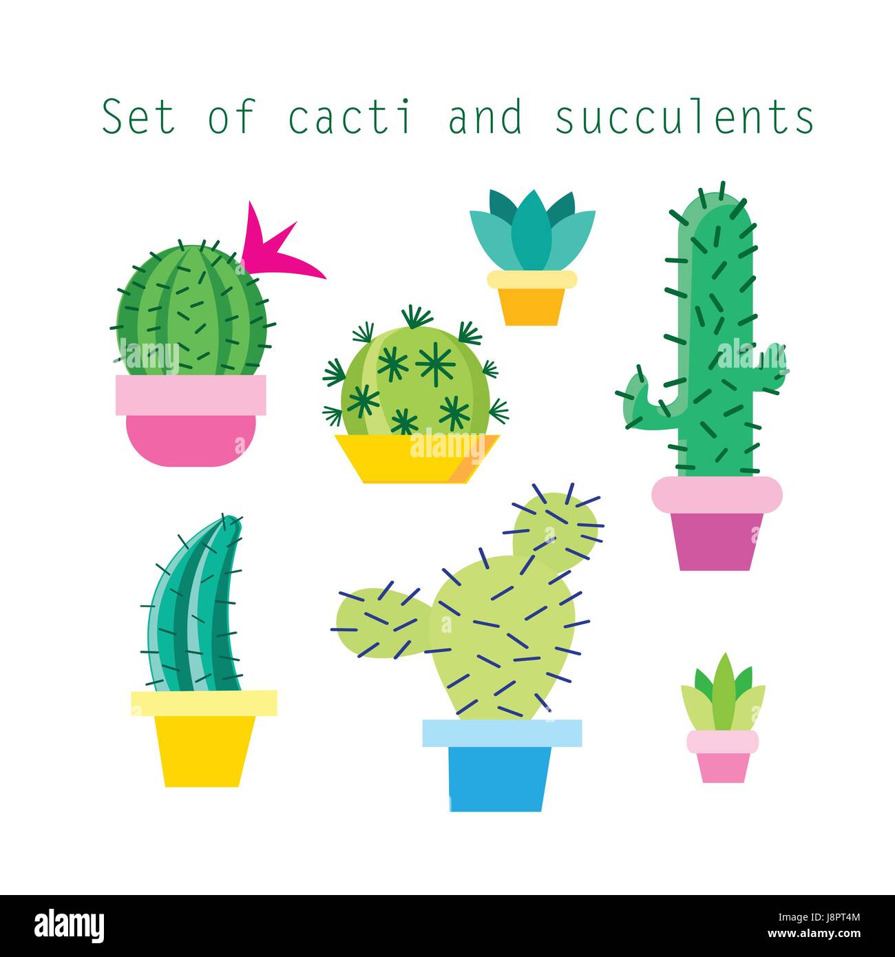Vector set of different cacti and succulents on white background Stock ...