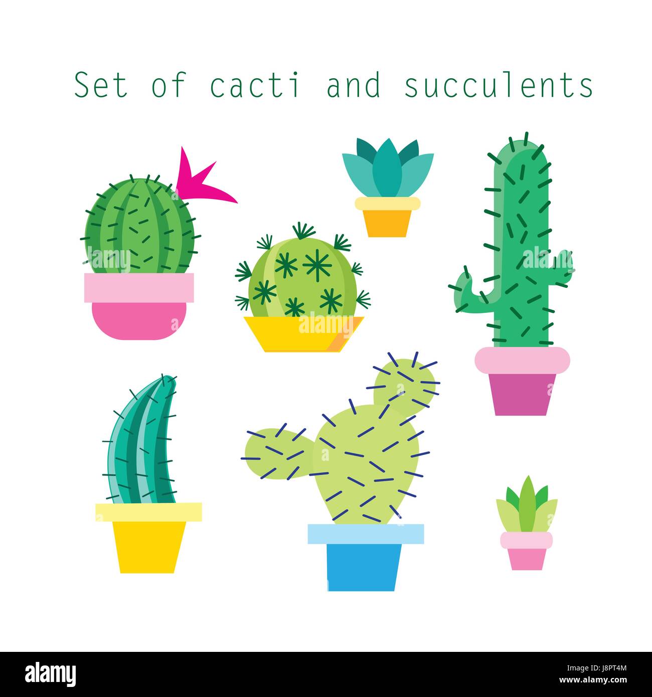 Vector set of different cacti and succulents on white background Stock Vector