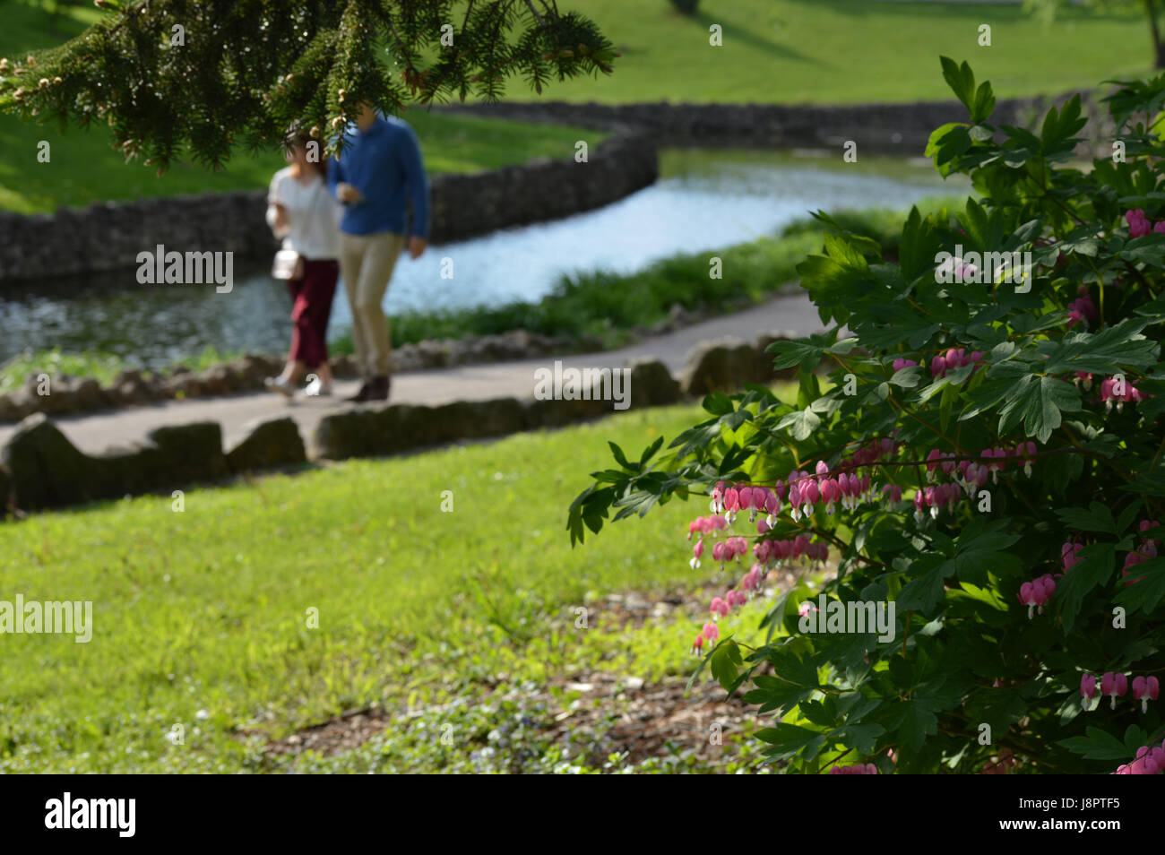 Woman walking in park pair hi-res stock photography and images - Alamy