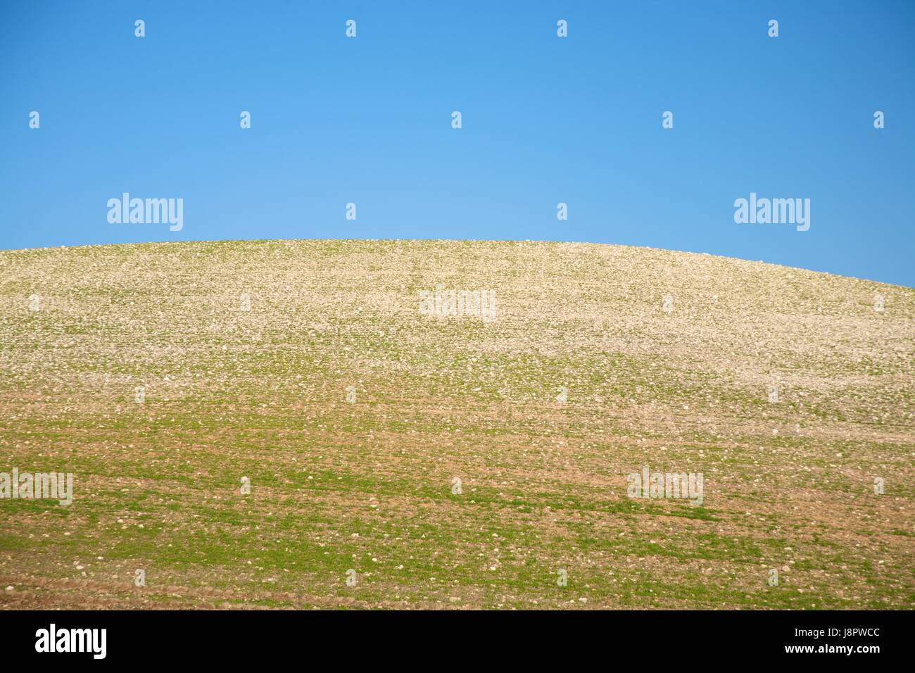 field, spain, landscape, scenery, countryside, nature, mountain, lawn ...