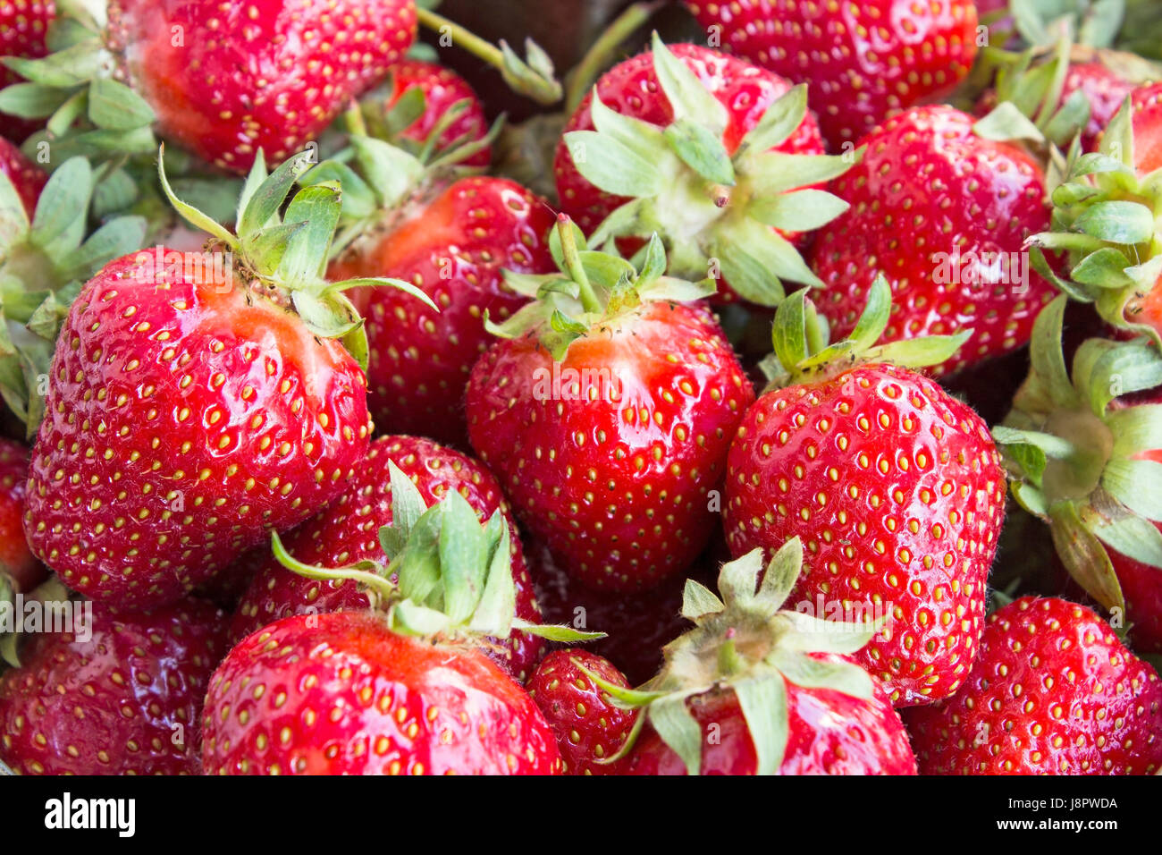 Strawberries Close Up as a Background Stock Photo - Alamy