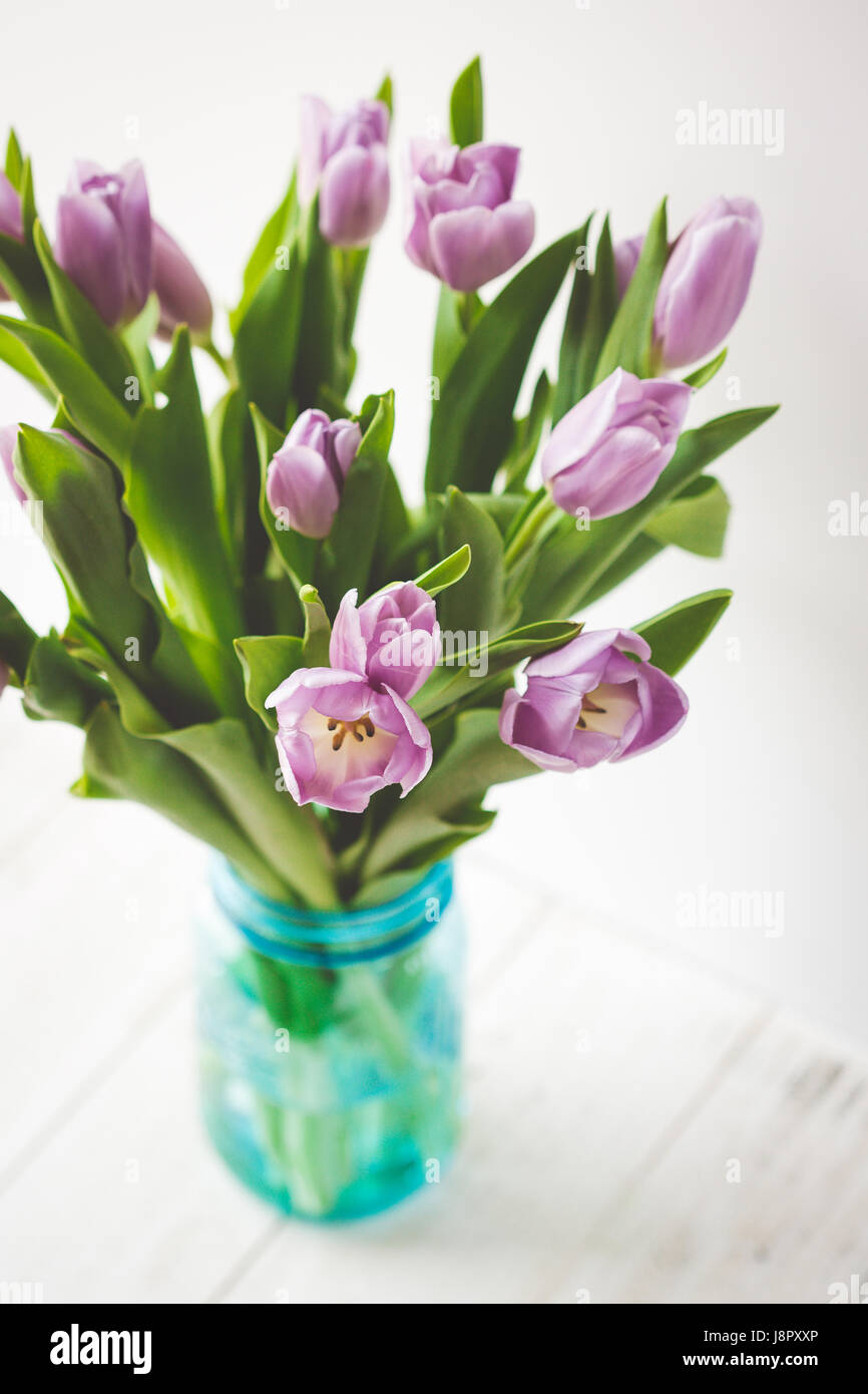 Floral Still Life Stock Photo Alamy — free download