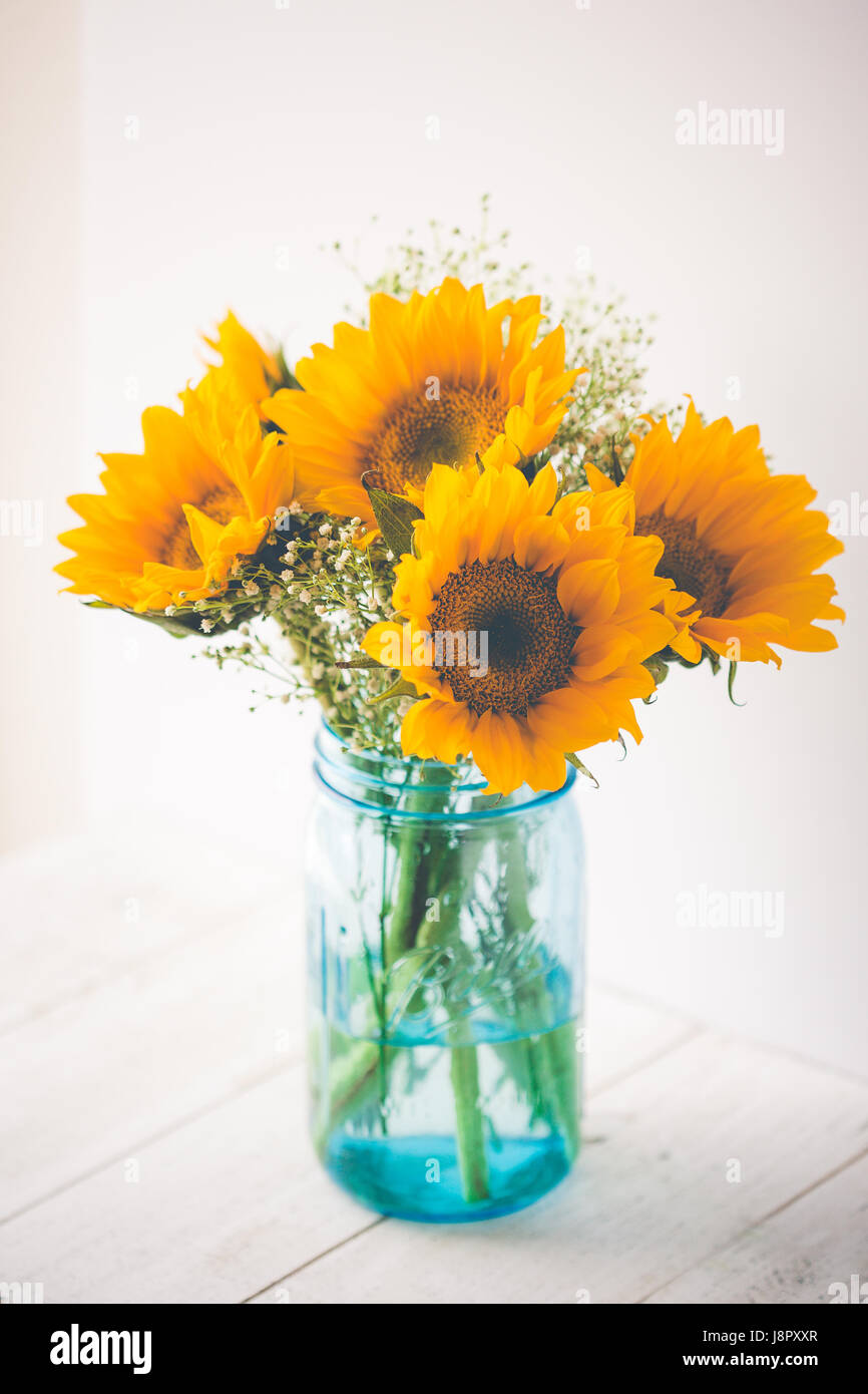 Floral Still Life Stock Photo Alamy — free download