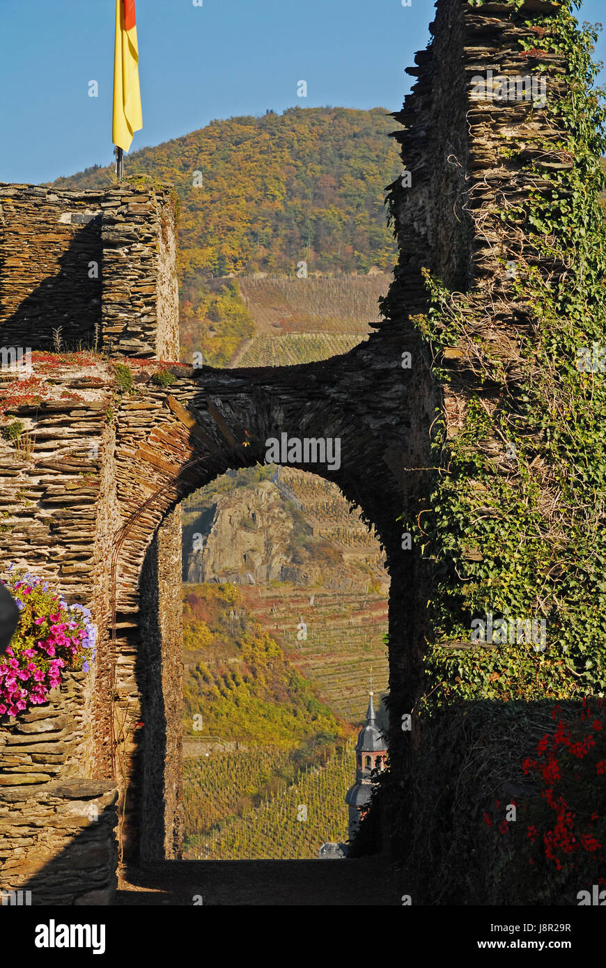 church, ruins, hatchet stone, chateau, castle, church, flower, plant, flowers, Stock Photo