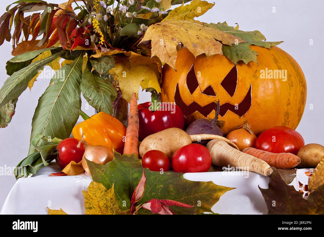 Multifarious coloured, colourful, gorgeous, multifarious, richly coloured, autumnal ...