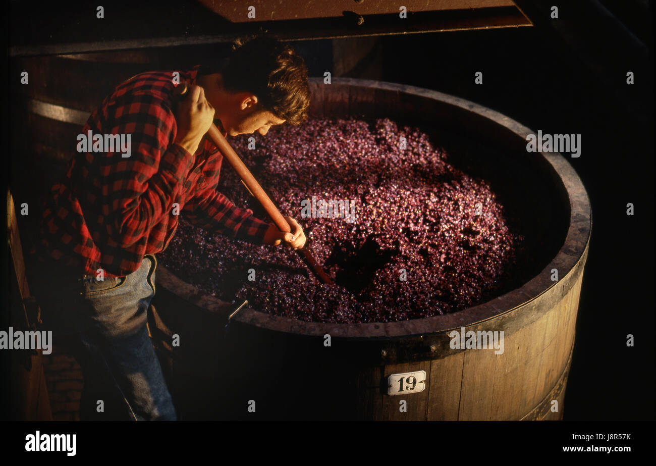 Pigeage bourgogne hires stock photography and images Alamy