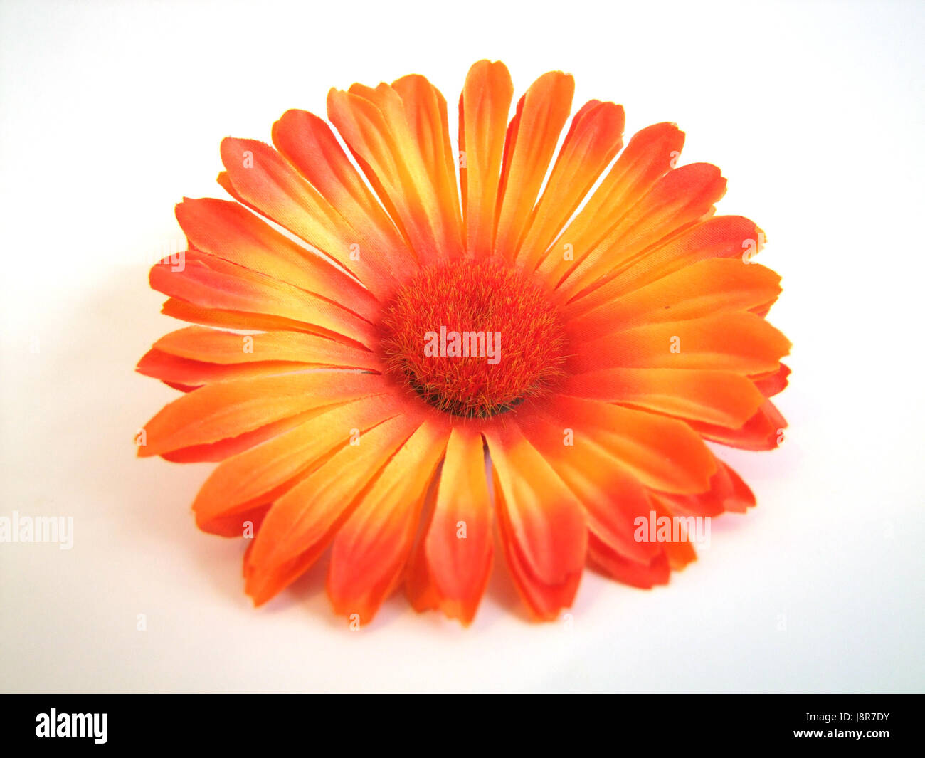 orange, flower, plant, bloom, blossom, flourish, flourishing, summer, summerly, Stock Photo