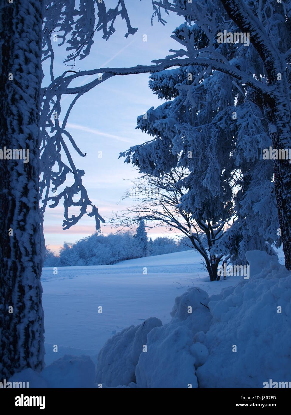 Thuringia Winter Frbelturm hi-res stock photography and images - Alamy