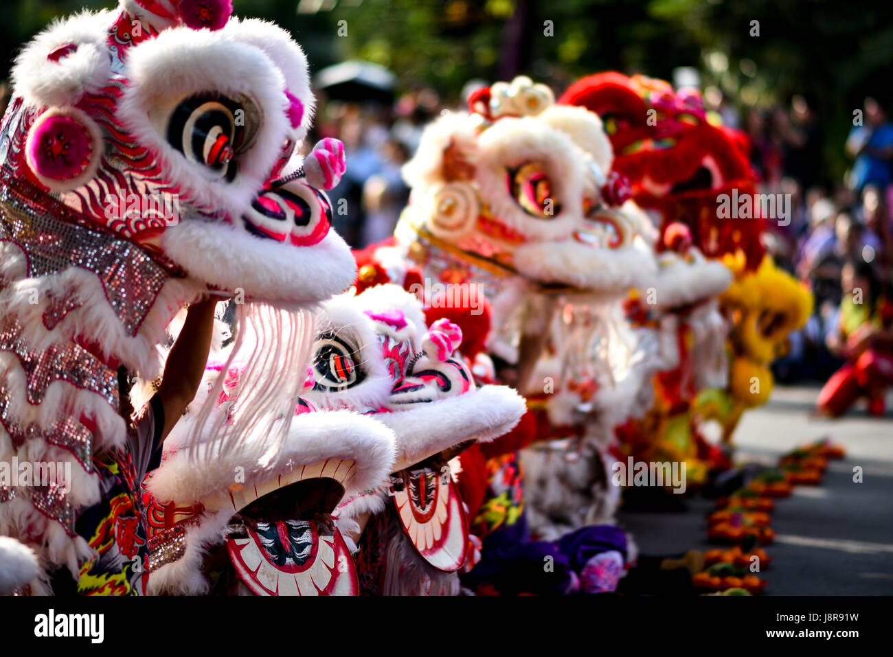 Traditional Lion Dance Stock Photo