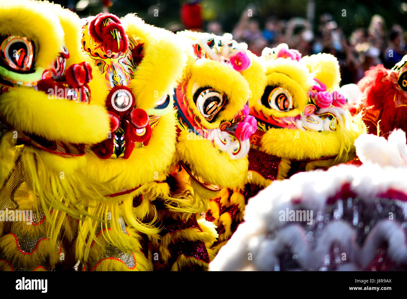 Traditional Lion Dance Stock Photo