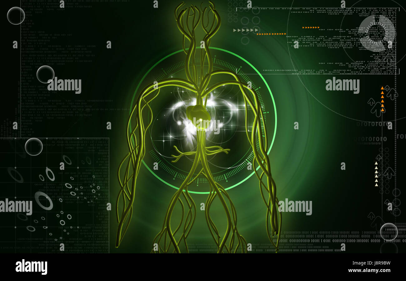 Object Education Circulation Graphics Colour Human Human Being