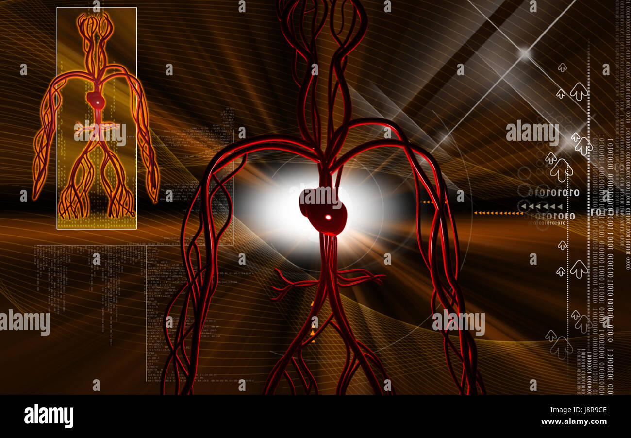 Circulation Graphics object, education, circulation, graphics, colour, brown, brownish ...